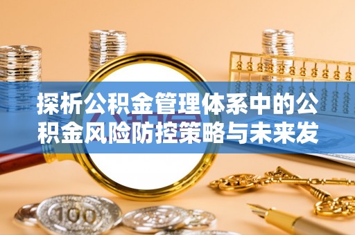 黟县探析公积金管理体系中的公积金风险防控策略与未来发展