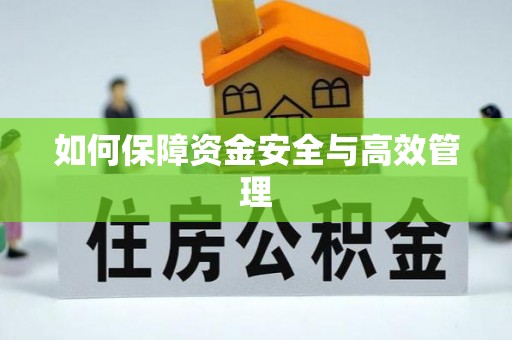 黟县如何保障资金安全与高效管理