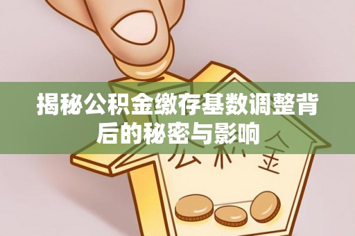 黟县揭秘公积金缴存基数调整背后的秘密与影响