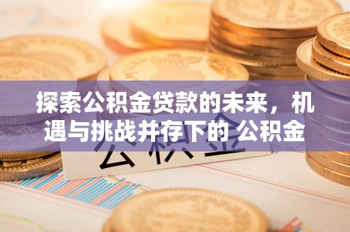 黟县探索公积金贷款的未来，机遇与挑战并存下的 公积金贷款风险防控