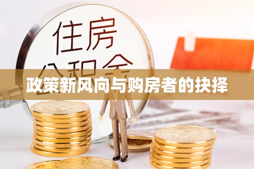 黟县政策新风向与购房者的抉择