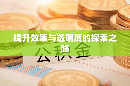 黟县提升效率与透明度的探索之路