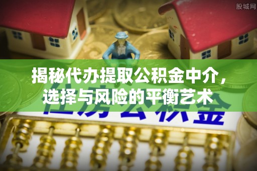 黟县揭秘代办提取公积金中介，选择与风险的平衡艺术