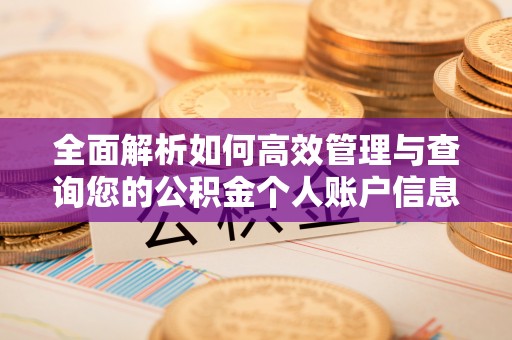 黟县全面解析如何高效管理与查询您的公积金个人账户信息