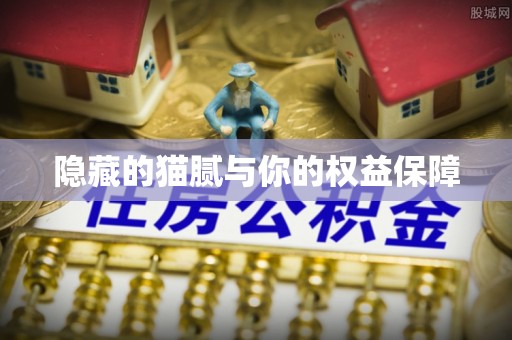 黟县隐藏的猫腻与你的权益保障