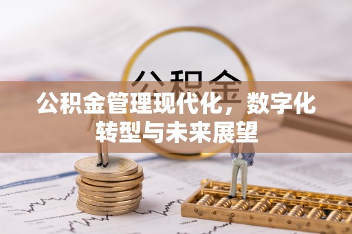 黟县公积金管理现代化，数字化转型与未来展望