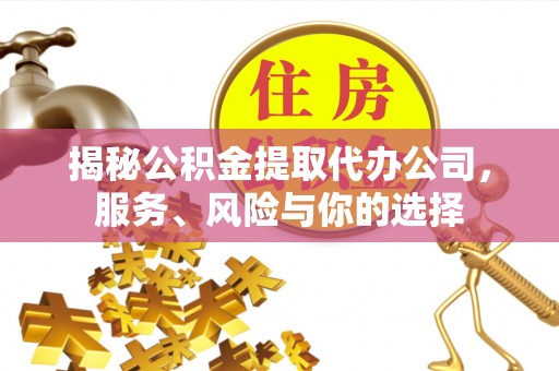 黟县揭秘公积金提取代办公司，服务、风险与你的选择