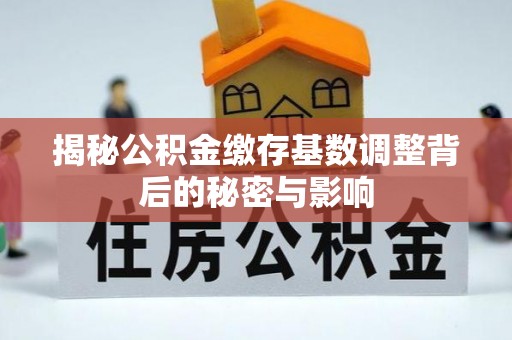 黟县揭秘公积金缴存基数调整背后的秘密与影响