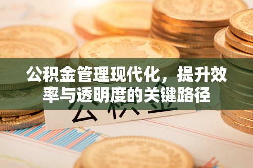 黟县公积金管理现代化，提升效率与透明度的关键路径
