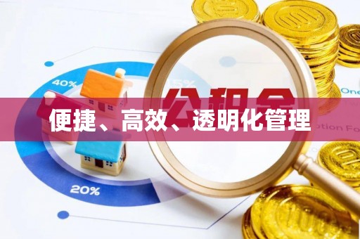 黟县便捷、高效、透明化管理