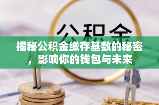 黟县揭秘公积金缴存基数的秘密，影响你的钱包与未来