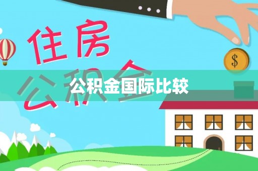 黟县公积金国际比较