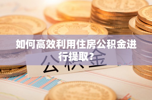 黟县如何高效利用住房公积金进行提取？