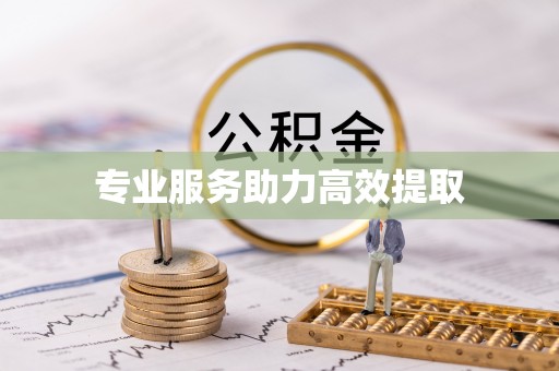 黟县专业服务助力高效提取