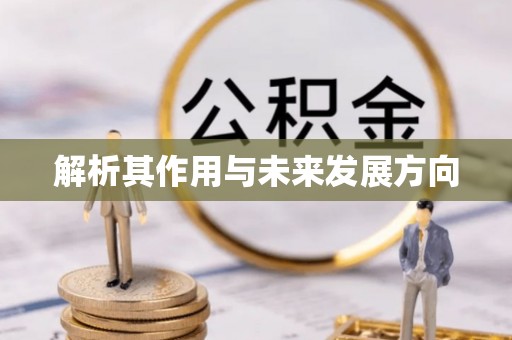 黟县解析其作用与未来发展方向