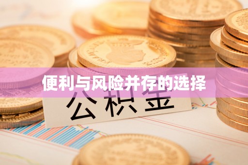 黟县便利与风险并存的选择