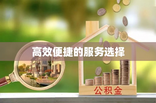 黟县高效便捷的服务选择