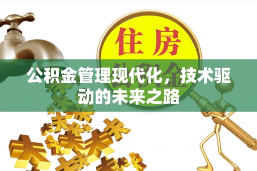 黟县公积金管理现代化，技术驱动的未来之路
