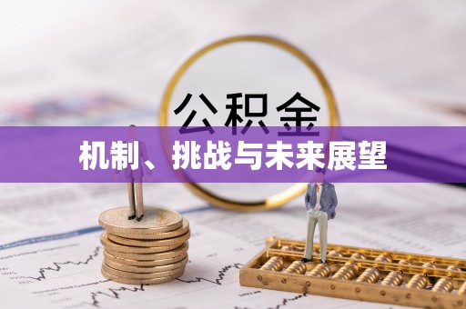 黟县机制、挑战与未来展望